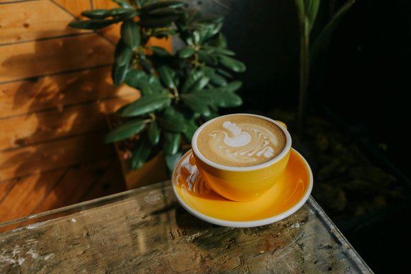 Mode éthique : top 10 des marques à connaître